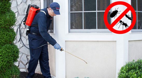 Gördes Hamam Böceği İlaçlama böcek ilaçlama ve haşere kontrolü — ilaclama-tr.com